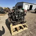International MaxxForce7 Engine Assembly thumbnail 7