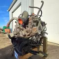 International MaxxForce7 Engine Assembly thumbnail 12