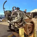 International MaxxForce7 Engine Assembly thumbnail 9