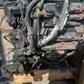 International MaxxForce7 Engine Assembly thumbnail 10