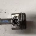 International MaxxForce7 Piston Assembly thumbnail 5