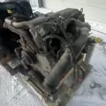 International MaxxForceDT Engine Assembly thumbnail 8
