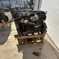 International MaxxForceDT Engine Assembly thumbnail 7