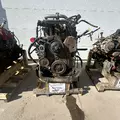 International MaxxForceDT Engine Assembly thumbnail 2