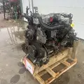 International MaxxForceDT Engine Assembly thumbnail 8