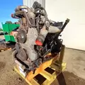 International MaxxForceDT Engine Assembly thumbnail 12
