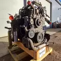 International MaxxForceDT Engine Assembly thumbnail 4