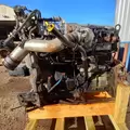 International MaxxForceDT Engine Assembly thumbnail 10