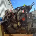 International MaxxForceDT Engine Assembly thumbnail 6