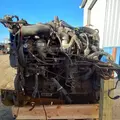 International MaxxForceDT Engine Assembly thumbnail 10