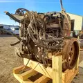 International MaxxForceDT Engine Assembly thumbnail 13