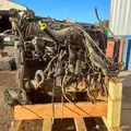 International MaxxForceDT Engine Assembly thumbnail 15