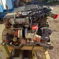 International MaxxForceDT Engine Assembly thumbnail 8