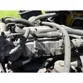  Fuel Pump (Injection) INTERNATIONAL Maxxforce DT for sale thumbnail