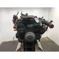 International N13 Engine Assembly thumbnail 2