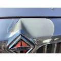 International PROSTAR Grille thumbnail 2