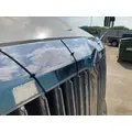 International PROSTAR Hood thumbnail 15