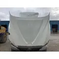 International PROSTAR Hood thumbnail 12