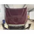 International PROSTAR Hood thumbnail 10