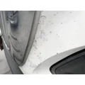 International PROSTAR Hood thumbnail 11