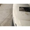 International PROSTAR Hood thumbnail 13