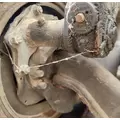 International PROSTAR Spindle  Knuckle, Front thumbnail 2