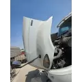 International RH613 Hood thumbnail 3