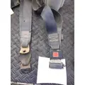 International S MODEL Seat Belt thumbnail 1