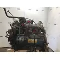 International T444E Engine Assembly thumbnail 2