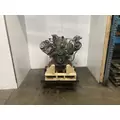 International T444E Engine Assembly thumbnail 8