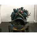 International T444E Engine Assembly thumbnail 5