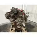 International T444E Engine Assembly thumbnail 2