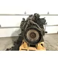 International T444E Engine Assembly thumbnail 4