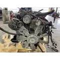 International T444E Engine Assembly thumbnail 4