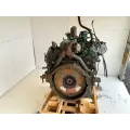 International T444E Engine Assembly thumbnail 6