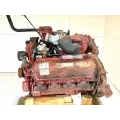 International T444E Engine Assembly thumbnail 1