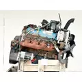 International T444E Engine Assembly thumbnail 11