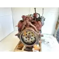 International T444E Engine Assembly thumbnail 5