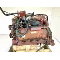 International T444E Engine Assembly thumbnail 1