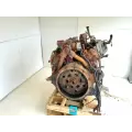 International T444E Engine Assembly thumbnail 5