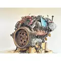 International T444E Engine Assembly thumbnail 12