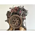 International T444E Engine Assembly thumbnail 13