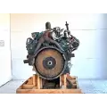 International T444E Engine Assembly thumbnail 6