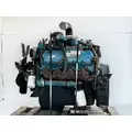 International T444E Engine Assembly thumbnail 10