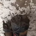 International T444E Starter Motor thumbnail 8