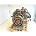 International T444 Engine Assembly thumbnail 6