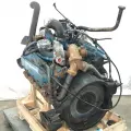 International T444 Engine Assembly thumbnail 5