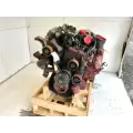 International T444 Engine Assembly thumbnail 3