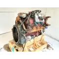 International T444 Engine Assembly thumbnail 5