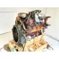 International T444 Engine Assembly thumbnail 5